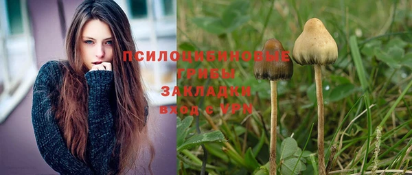 MESCALINE Ельня
