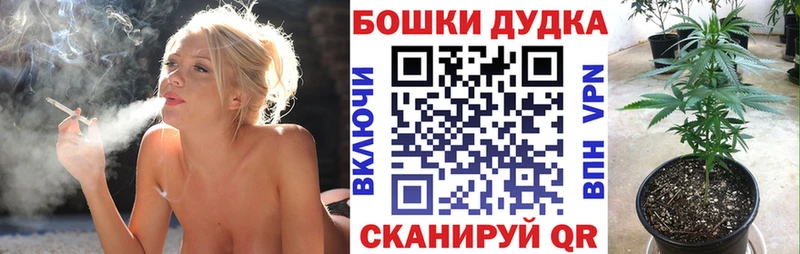Купить  Ахтубинск  Бошки марихуана сатива 